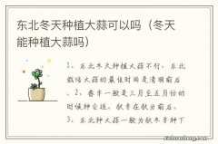 冬天能种植大蒜吗 东北冬天种植大蒜可以吗