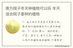 南方院子冬天种植物可以吗 冬天适合院子里种的植物