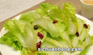 生菜阳台种植方法 生菜阳台种植方法视频