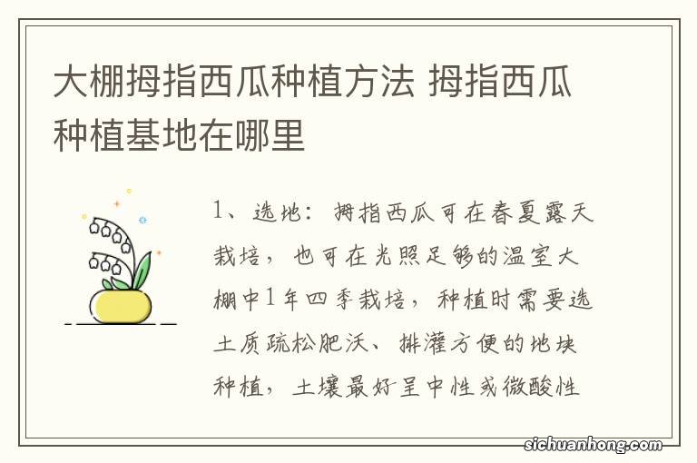 大棚拇指西瓜种植方法 拇指西瓜种植基地在哪里