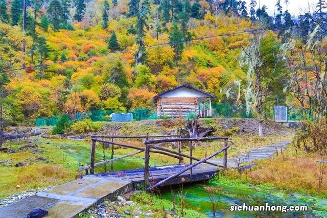 林芝，一场关于秋的盛事