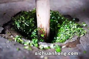 蒿子粑粑用的什么蒿草