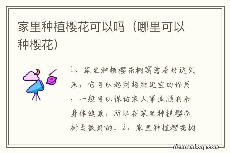 哪里可以种樱花 家里种植樱花可以吗