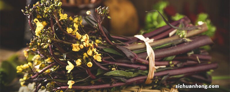 红菜苔种植时间和方法 紫菜苔种植时间和方法