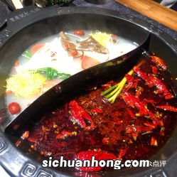 菊花锅底怎么配