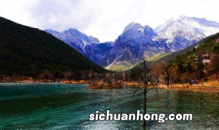 春节适合自驾游的地方 云南大理和昆明介绍