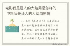 电影我是证人的大结局是怎样的 电影我是证人的大结局剧情