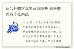 适合冬季盆栽果蔬有哪些 秋冬季盆栽什么果蔬