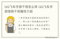 QQ飞车手游干将怎么样 QQ飞车手游宠物干将属性介绍