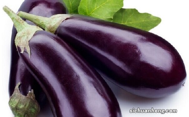 多彩茄子皮的做法是怎样?多彩茄子皮怎么做?