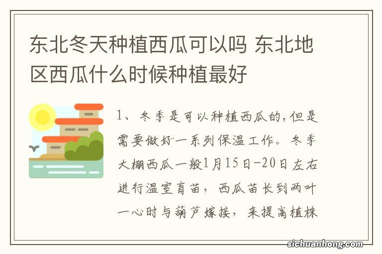 东北冬天种植西瓜可以吗 东北地区西瓜什么时候种植最好