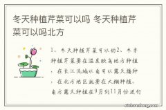 冬天种植芹菜可以吗 冬天种植芹菜可以吗北方