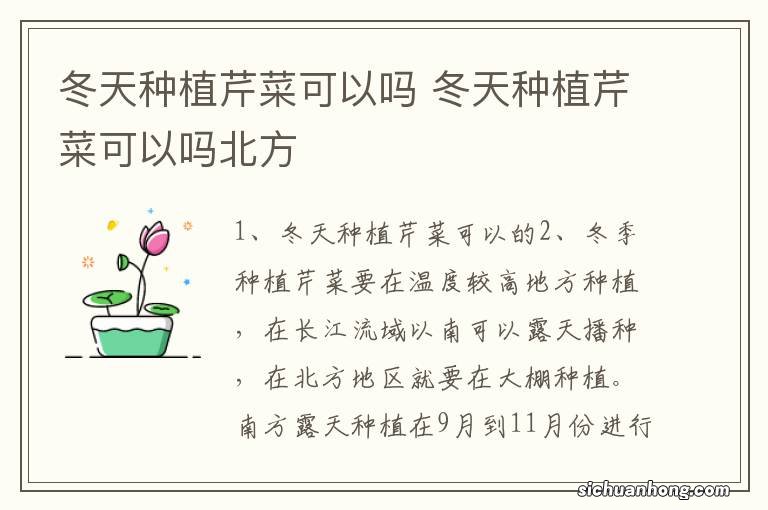 冬天种植芹菜可以吗 冬天种植芹菜可以吗北方