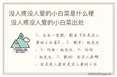 没人疼没人爱的小白菜是什么梗 没人疼没人爱的小白菜出处