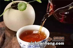 天茯茶是什么茶