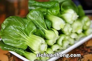 跟青菜一样的是什么菜