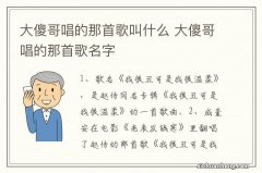 大傻哥唱的那首歌叫什么 大傻哥唱的那首歌名字