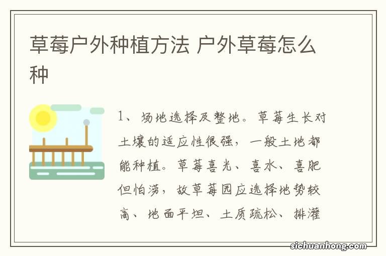 草莓户外种植方法 户外草莓怎么种