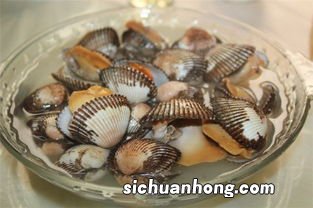 毛蚶 煮多久