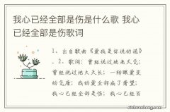 我心已经全部是伤是什么歌 我心已经全部是伤歌词