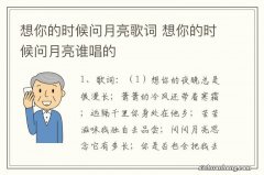 想你的时候问月亮歌词 想你的时候问月亮谁唱的