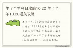 羊了个羊今日攻略10.20 羊了个羊10.20通关攻略