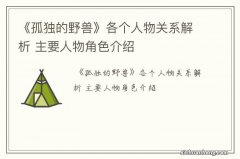 《孤独的野兽》各个人物关系解析 主要人物角色介绍