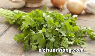 香菜阳台种植方法 香菜阳台种植方法图解