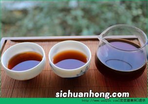 肠道不好能喝什么茶