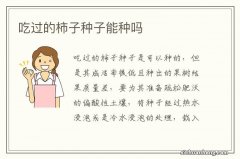 吃过的柿子种子能种吗