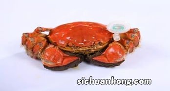 吃完螃蟹多久能吃水果