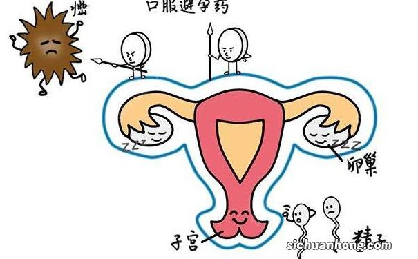 女人经常吃避孕药会导致男人不育吗？避孕药会导致男人不育吗？