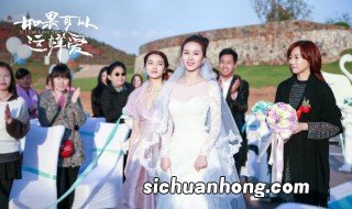 如果可以这样爱电视剧简介 电视如果可以这样爱介绍