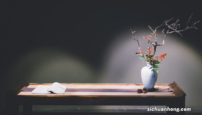 油画吊兰喜阴还是喜阳光 油画吊兰喜阴还是喜阳