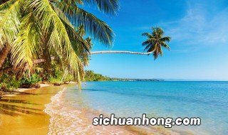 在海边旅游注意什么饮食问题 在海边旅游注意什么饮食