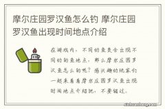 摩尔庄园罗汉鱼怎么钓 摩尔庄园罗汉鱼出现时间地点介绍