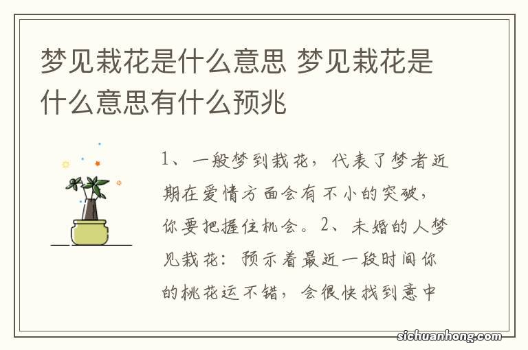 梦见栽花是什么意思 梦见栽花是什么意思有什么预兆