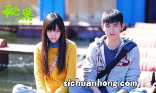 秘果大结局剧情 秘果剧情简介