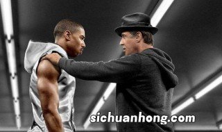 流血的拳击手剧情介绍 流血的拳击手简单介绍