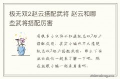 极无双2赵云搭配武将 赵云和哪些武将搭配厉害