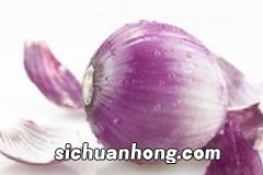 常吃蔬菜对身体好：菠菜和芹菜都有哪些功效与作用？