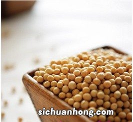 豆子有什么价值