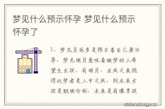 梦见什么预示怀孕 梦见什么预示怀孕了