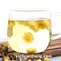 胎菊属于什么茶