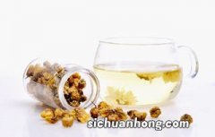 胎菊属于什么茶