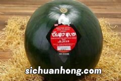 吃鸭肉都有哪些好处?鸭肉的挑选方法有哪些?