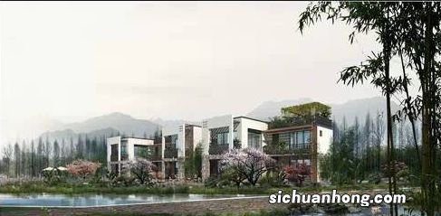 墅山剑毫是什么茶