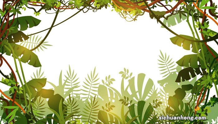 多菌灵灌根容易烧根吗 多菌灵可以直接浇灌吗