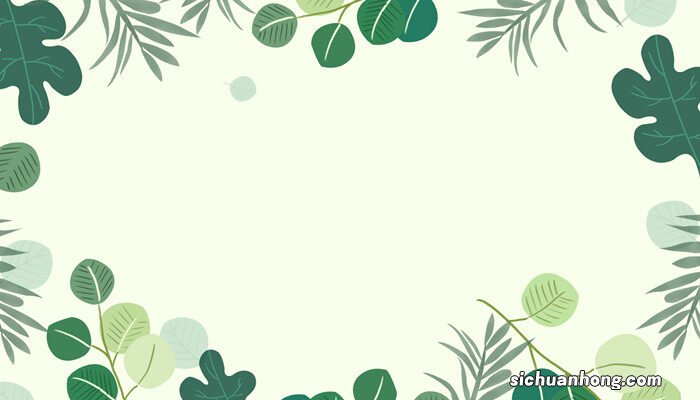 多菌灵灌根容易烧根吗 多菌灵可以直接浇灌吗