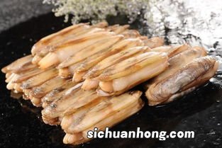 笔管蛏子怎么洗